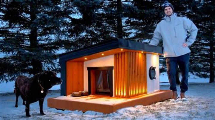 Hilarious Dog House Ideas To Make Your Furry Friend Laugh