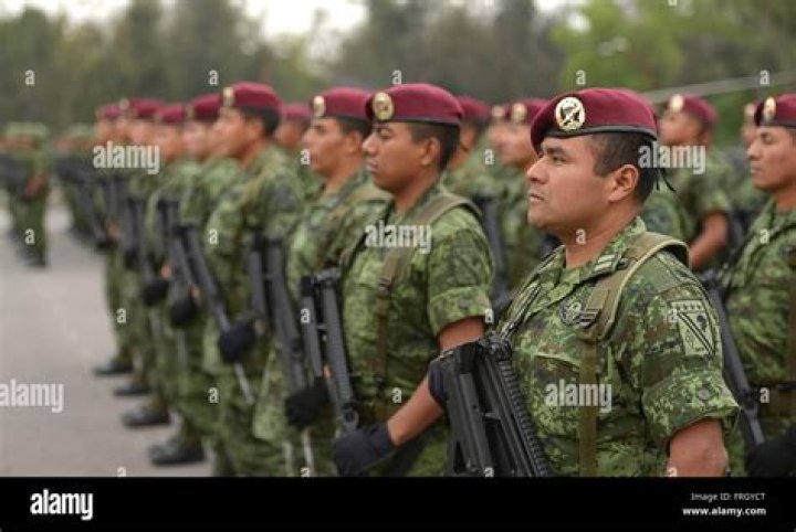 Mexican Paratroopers: The Elite Forces Of The Mexican Army