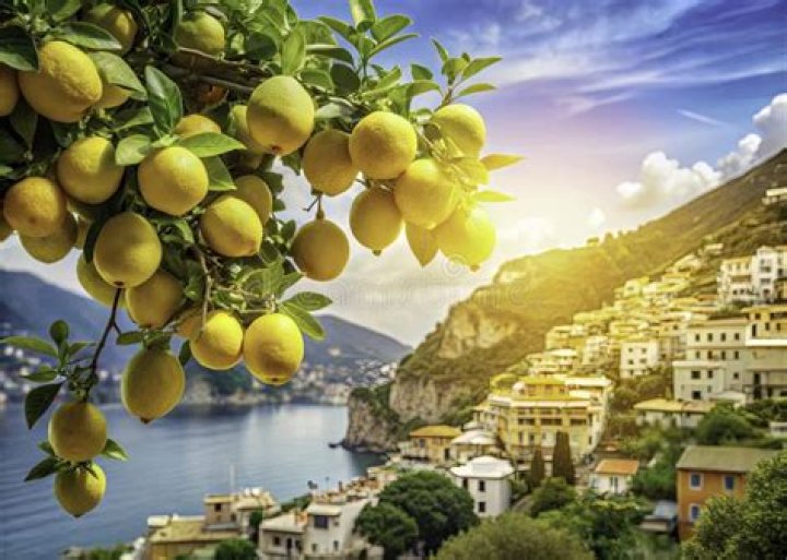 Stunning Lemon Photos: Capture The Vibrant Essence Of Nature